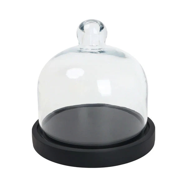 Cake Container with Dome - 7 INCH BL