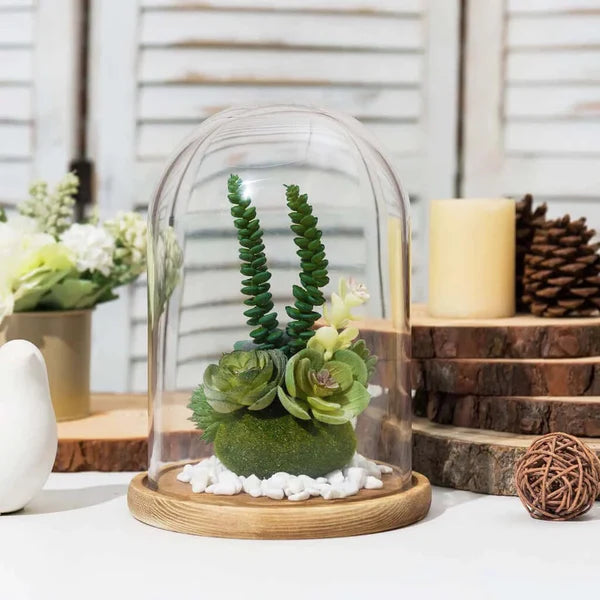 Glass Dome , Cloche Bell Jar Display - 6 x 9 inch