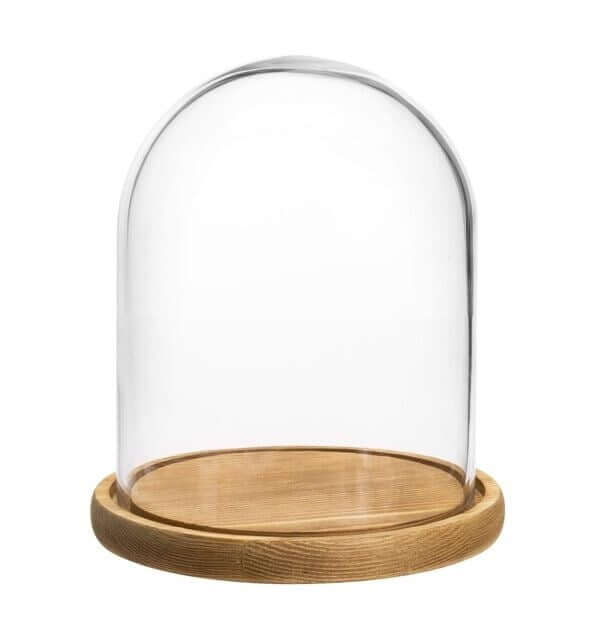 Glass Dome , Cloche Bell Jar Display - 6 x 9 inch