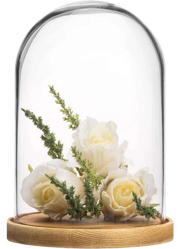 Glass Dome , Cloche Bell Jar Display - 6 x 9 inch