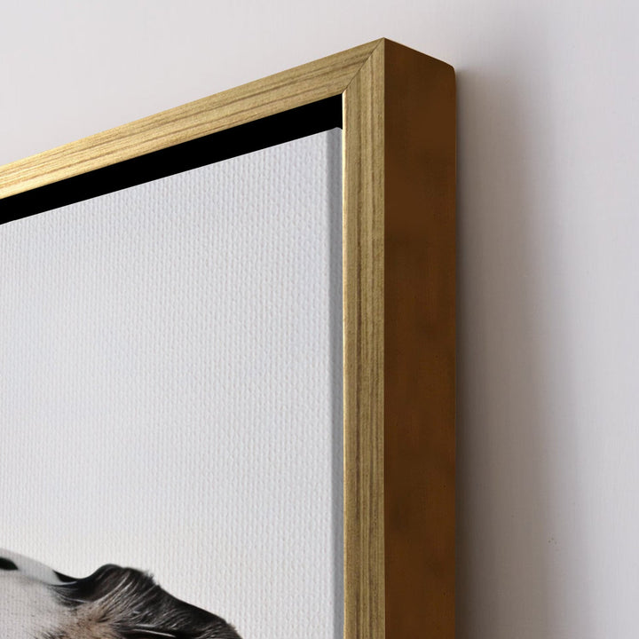 Pooch Love Canvas Wall Art. High Definition Potraits of Animals. (BWWA01)